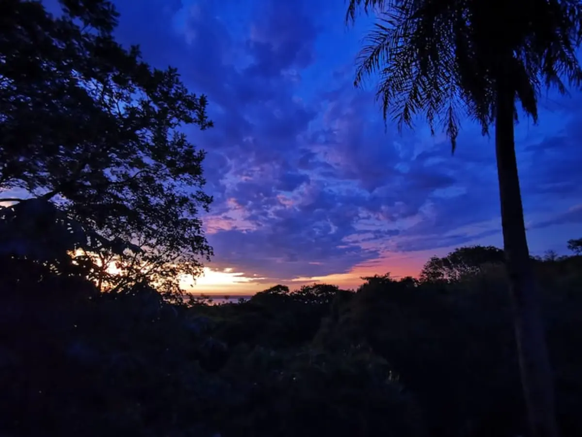 Noches Árabes detalle